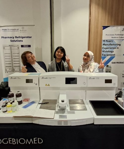 Copy of IMG-20250729-WA0030